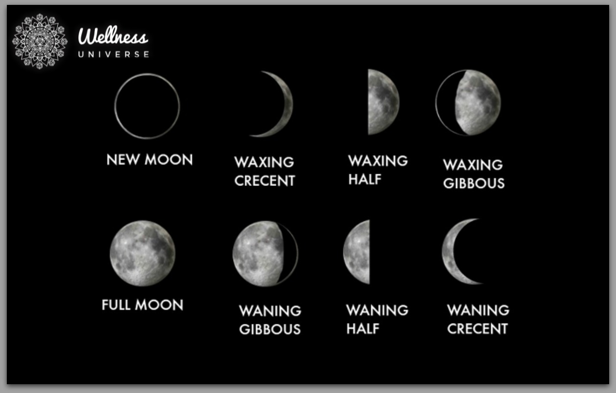 Understanding Our 8 Moon Cycles The Wellness Universe Blog