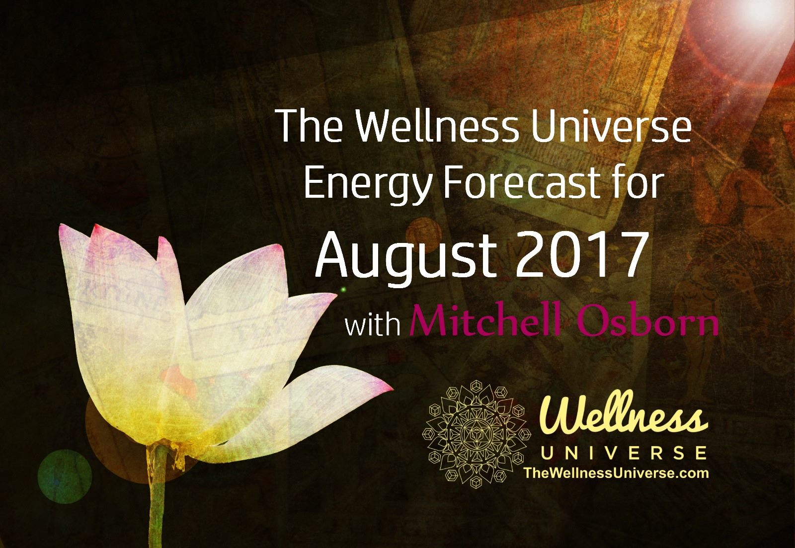 Energy Forecast for August with Mitchell Osborn #TheWellnessUniverse #WUVIP #EnergyForecastForAugust
