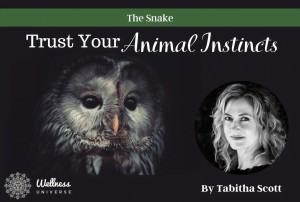 Trust Your Animal Instincts (2)