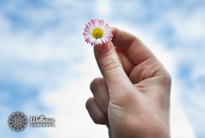 Woman holding a small pink flower in her fingers