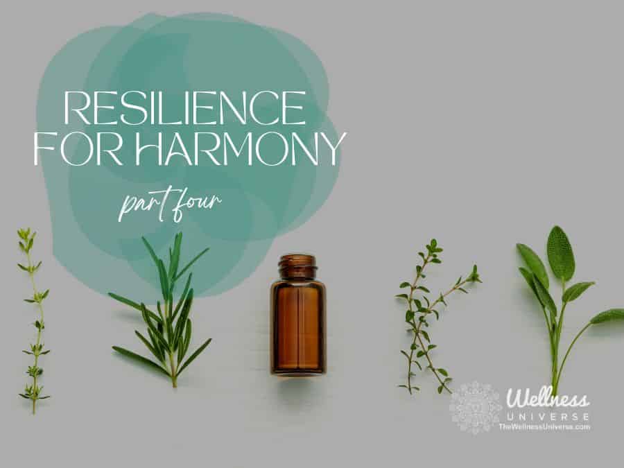 Resilience for Harmony