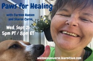 Paws for Healing Promo