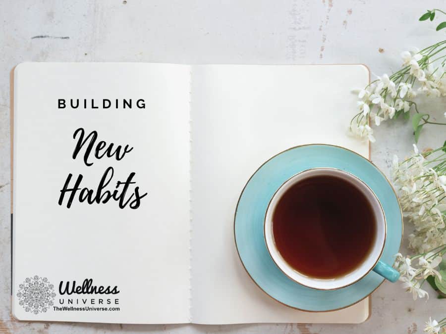 building new habits