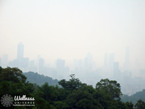 The Impact of Forest Fires on Air Quality and Public Health