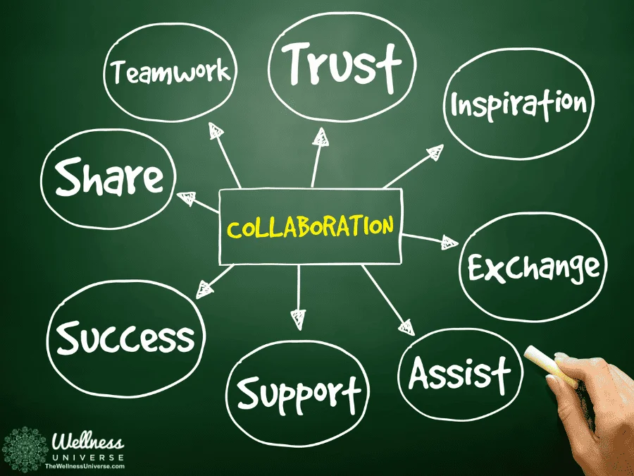 Best Practices for Small Business Collaboration