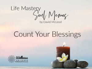 Life Mastery Soul Memos Nov Count Your Blessings