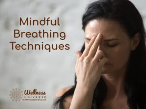 Mindful Breathing Blog Image for 12_27_24