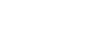 The Wellness Universe Blog