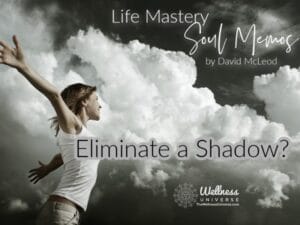 Life Mastery Soul Memos Jan. Eliminate a Shadow?