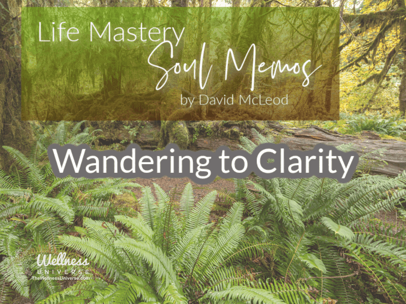 Life Mastery Soul Memos with David McLeod