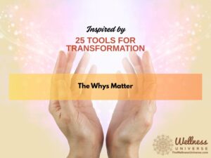 The Wellness Universe 25 Tools for Transformation