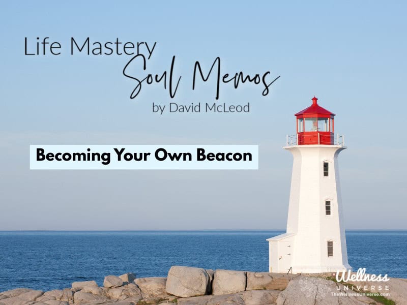 David McLeod Life Mastery Soul Memos