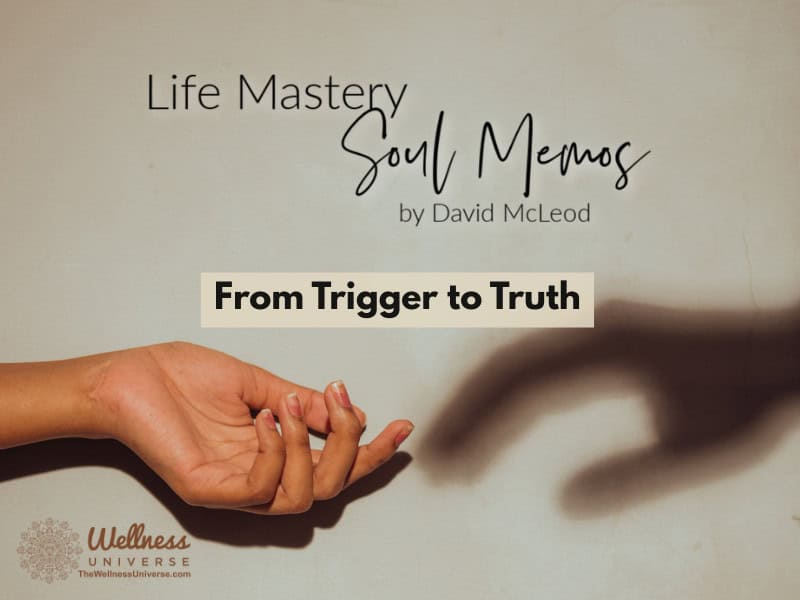 From trigger to truth david mcleod blog