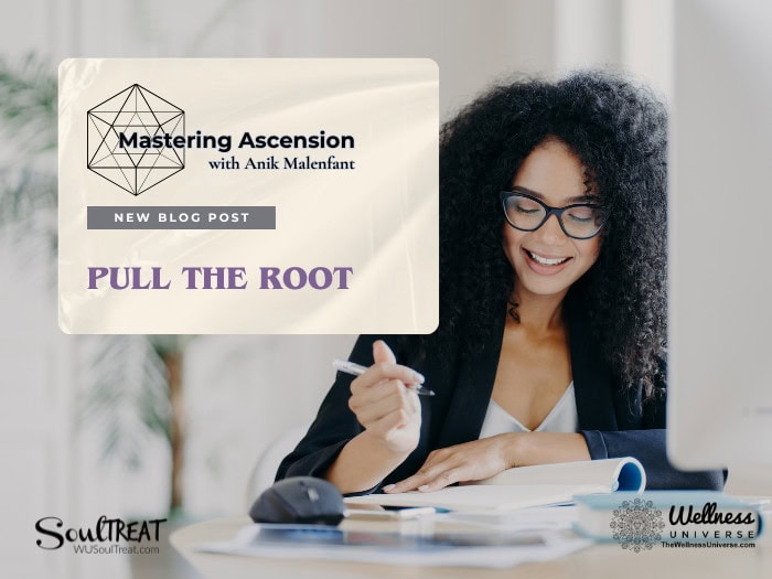 Pull the root