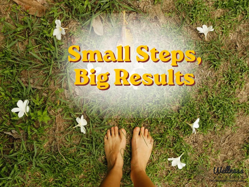 Small Steps, Big Results: The Architecture of Mental Health Recovery