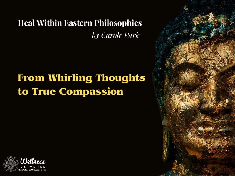 From Whirling Thoughts to True Compassion